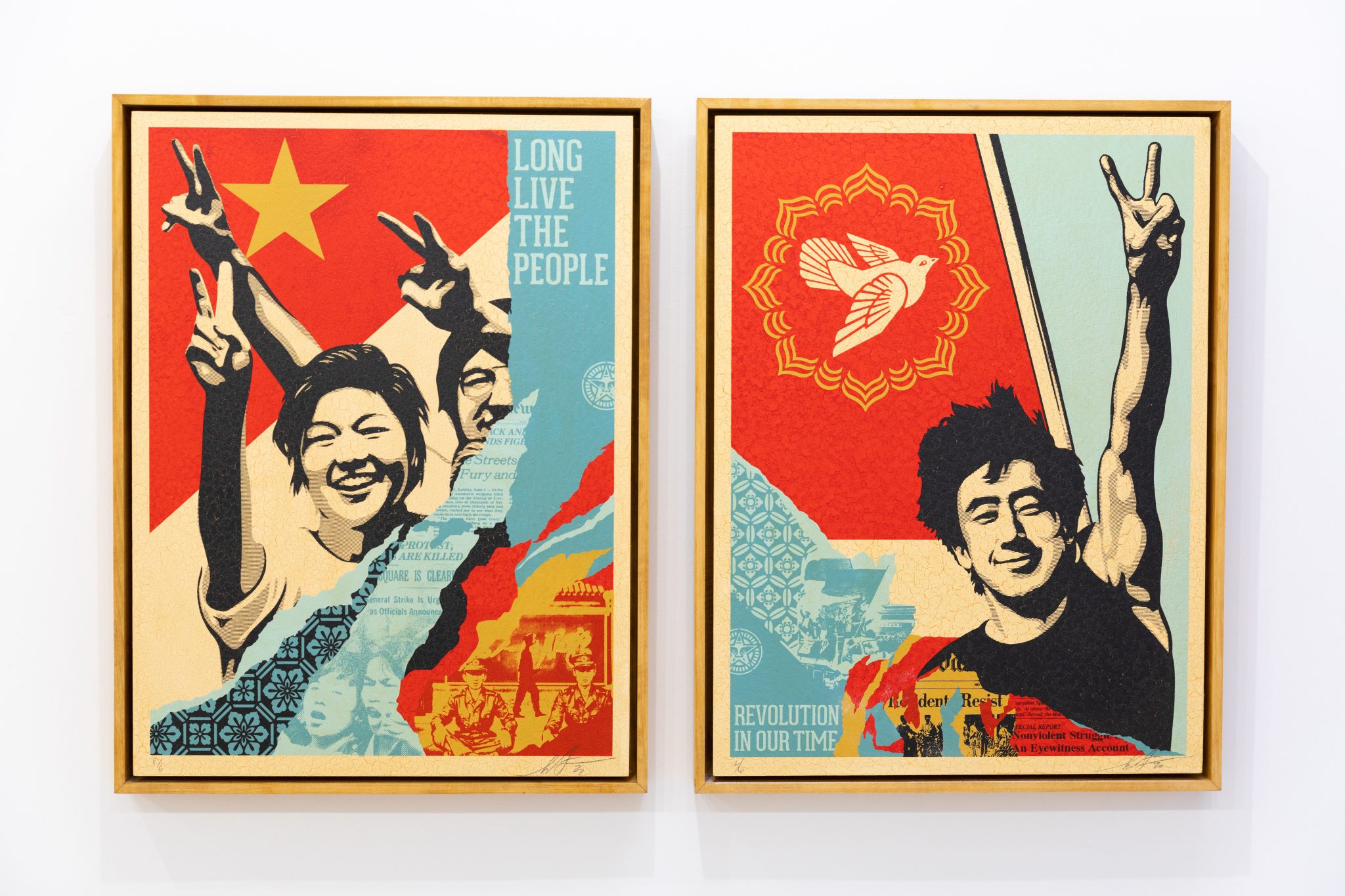 shepard-fairey-artworks-for-a-revolution-wunderkammern